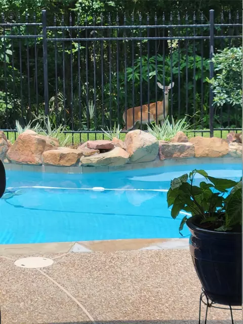 6230 Agassi Ace Court Ct, Spring, TX 77379 photo 2