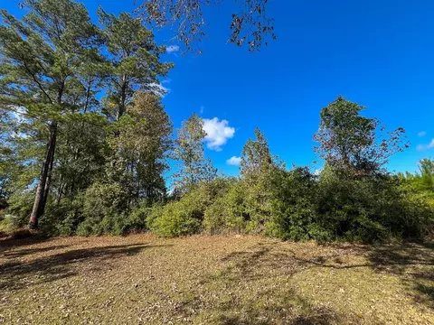 1 Farm To Market 787, Votaw, TX 77376
