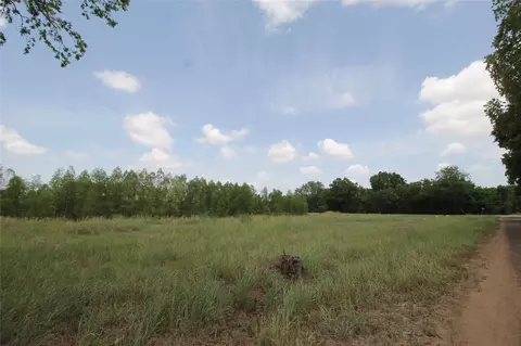 lot S 1-5 Washington St, Hempstead, TX 77445