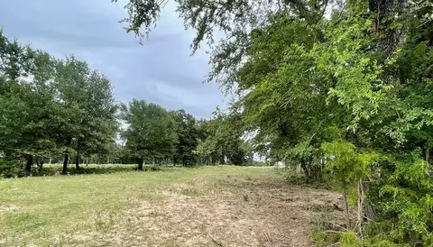 737 Lcr 862, Donie, TX 75838
