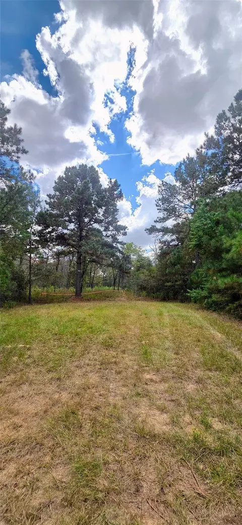 0 29699 Mcclellan Ct W, Hempstead, TX 77355