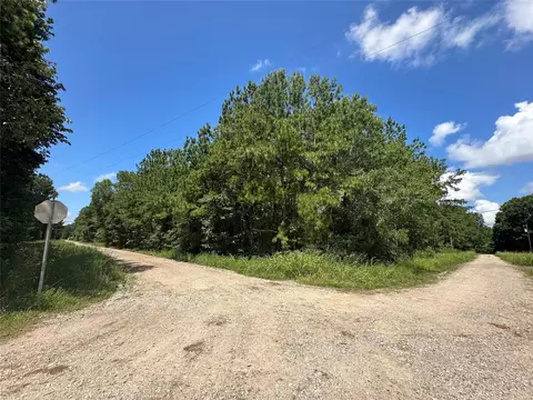 120 Pioneer Trl, Livingston, TX 77351