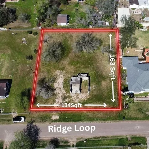 1310 Ridge Loop, Palmview, TX 78574 photo 3