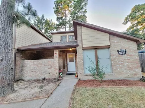 22803 Bayleaf Dr, Spring, TX 77373 photo 1
