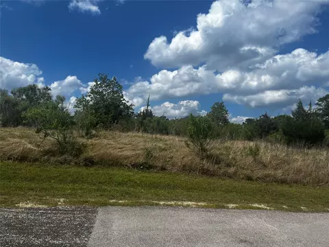 170 N Pine Harbour Dr, Coldspring, TX 77331