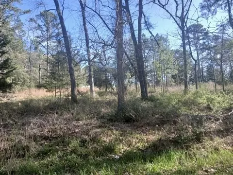 201 Chinquapin Rd, Trinity, TX 75862 photo 6