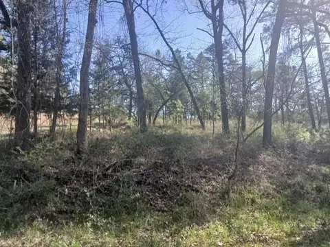 201 Chinquapin Rd, Trinity, TX 75862 photo 8