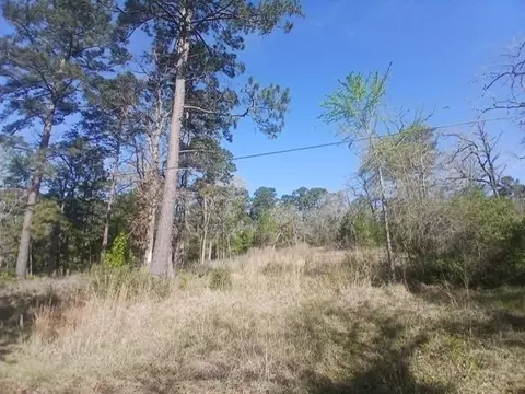 201 Chinquapin Rd, Trinity, TX 75862 photo 7