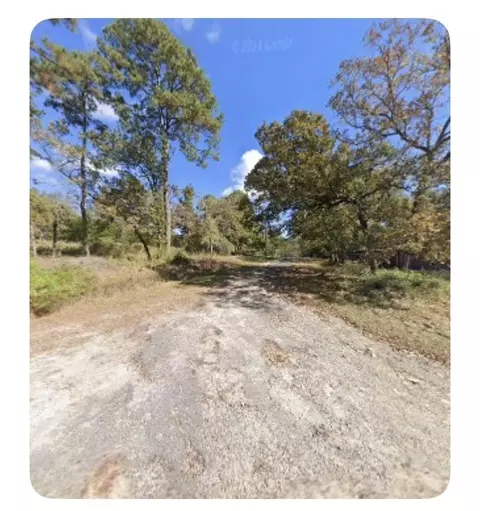 201 Chinquapin Rd, Trinity, TX 75862 photo 5