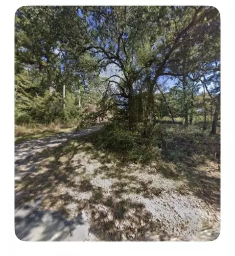 201 Chinquapin Rd, Trinity, TX 75862 photo 4