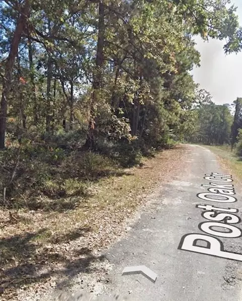201 Chinquapin Rd, Trinity, TX 75862 photo 3