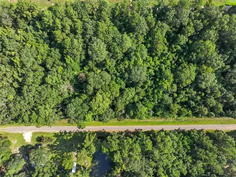 0 Lot 13 Dora Ln, Shepherd, TX 77371
