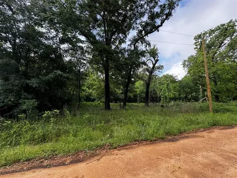 00 Mudd St, Coldspring, TX 77331