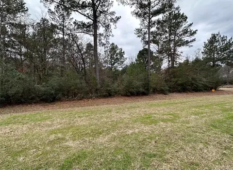 67 68 Nottoway Ln, Trinity, TX 75862 photo 7