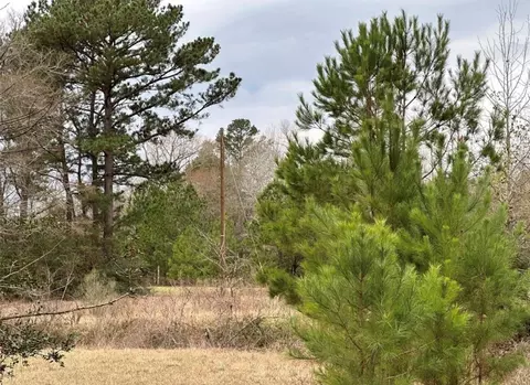 67 68 Nottoway Ln, Trinity, TX 75862 photo 9