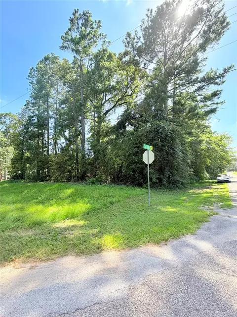 194 Oak Hollow Blvd, Magnolia, TX 77355