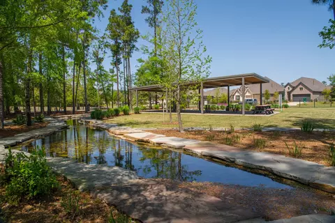 View/Area - 209 Trillium Park Loop, Conroe, TX 77304 photo 4 of 6