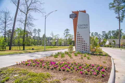 View/Area - 209 Trillium Park Loop, Conroe, TX 77304 photo 6 of 6