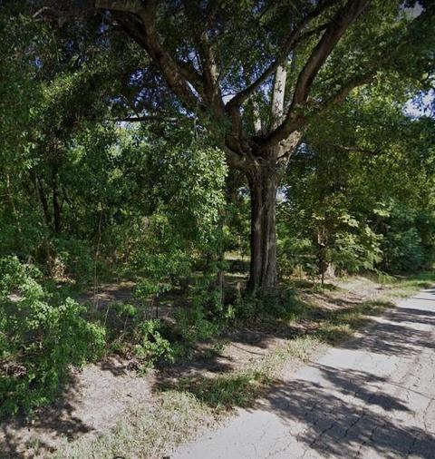 27321 Nelson St, Spring, TX 77373 photo 1
