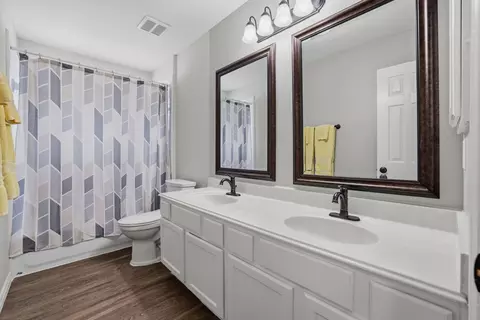 Bath - 25123 Burgh Castle Dr, Spring, TX 77389 photo 3 of 3