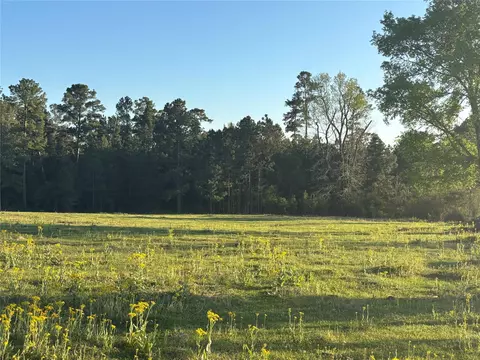 tbd Cr4120, Lovelady, TX 75851
