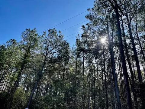 6 Acs Cr 3400, Colmesneil, TX 75938