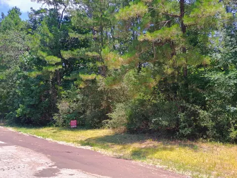 0 Tbd Port Blvd, Trinity, TX 75862 photo 1