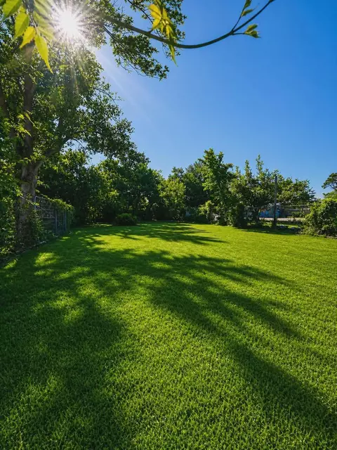 4115 Billingsley St, Houston, TX 77009
