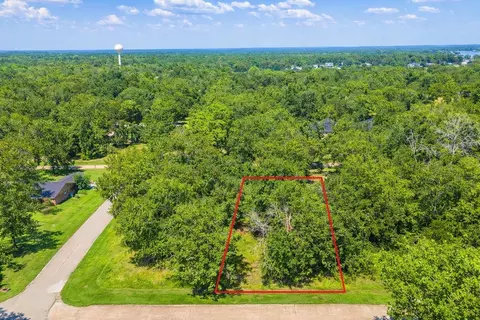 00 Deep Woods Ln, Livingston, TX 77351