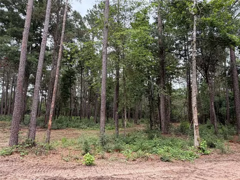 0 Hill Rd, Willis, TX 77378