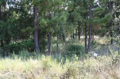 lot3 Morris Ln, Huntsville, TX 77320