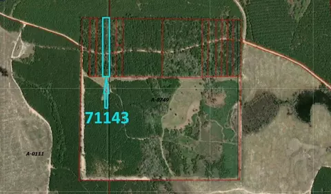 71143 Camp Seale Rd, Livingston, TX 77351