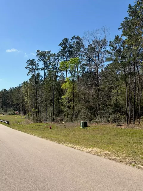 15633 Ridge Rock Rd, Willis, TX 77378 photo 2