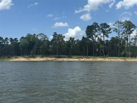 162 Foster Cv, Pineland, TX 75968