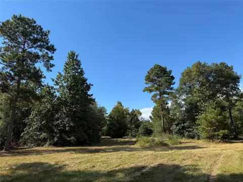 200 Spring Ridge Rd, Coldspring, TX 77331