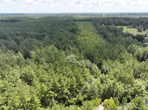 View/Area - 02 Cr 4470, Ivanhoe, TX 75979 photo 5 of 6