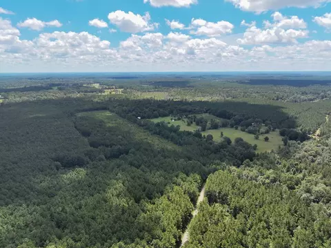 View/Area - 02 Cr 4470, Ivanhoe, TX 75979 photo 3 of 6