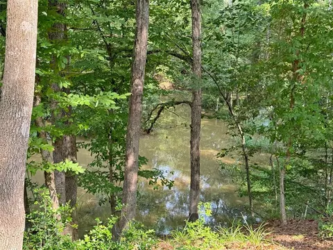 20 Lower Cove Dr, Point Blank, TX 77364