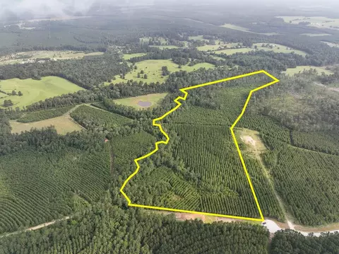 1 Cody Rd, Livingston, TX 77351