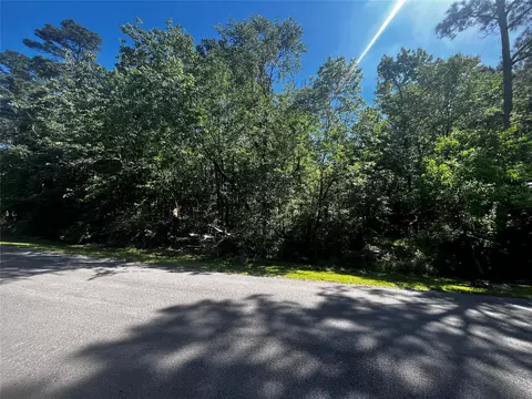 70 Wentworth Ln, Coldspring, TX 77331