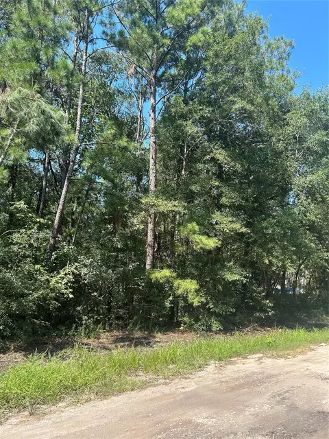 tbd Southland Cir, Livingston, TX 77351