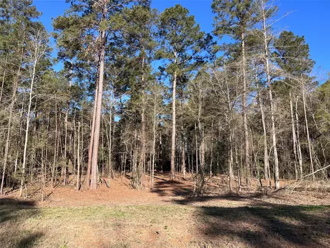 15194 Forest Grove Dr, Willis, TX 77378