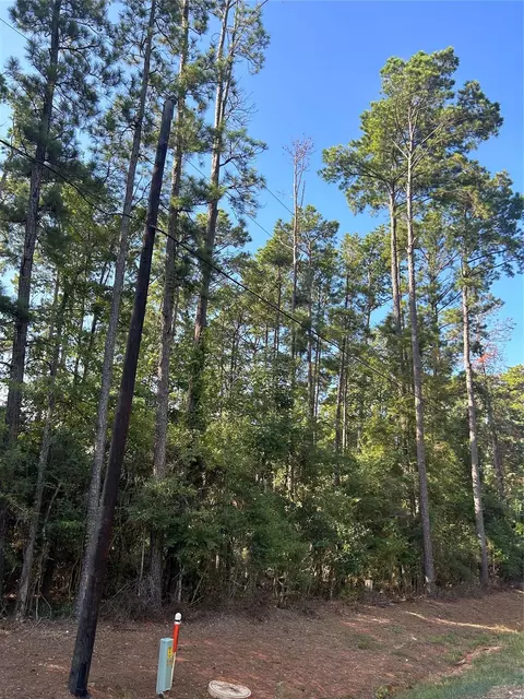 434445 Rob, Livingston, TX 77351