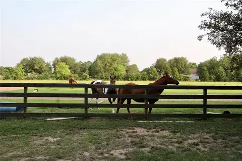 Other - 20510 Kickapoo Rd, Waller, TX 77484 photo 12 of 18