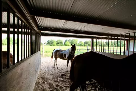 Other - 20510 Kickapoo Rd, Waller, TX 77484 photo 10 of 18