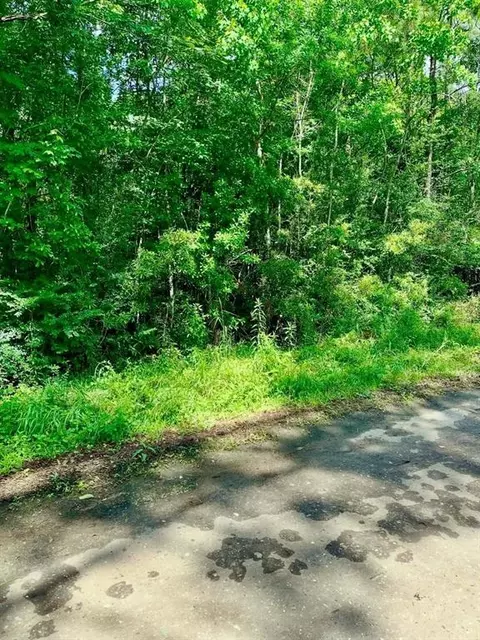 0 Ferito, Buna, TX 77612 photo 6