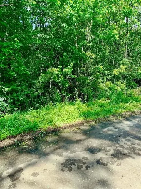 0 Ferito, Buna, TX 77612 photo 3