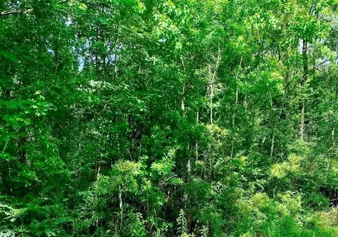 0 Ferito, Buna, TX 77612