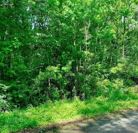 0 Ferito, Buna, TX 77612 photo 5