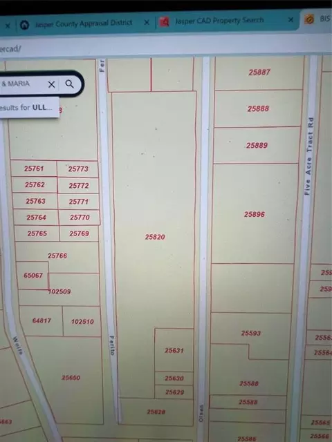 0 Ferito, Buna, TX 77612 photo 7